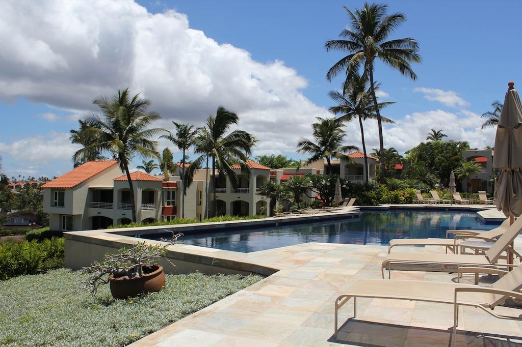 Mature palms grace the landscape