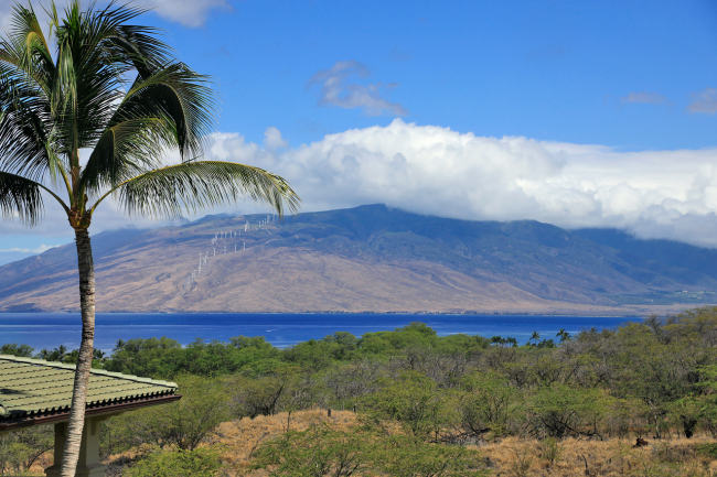 View from Lanai